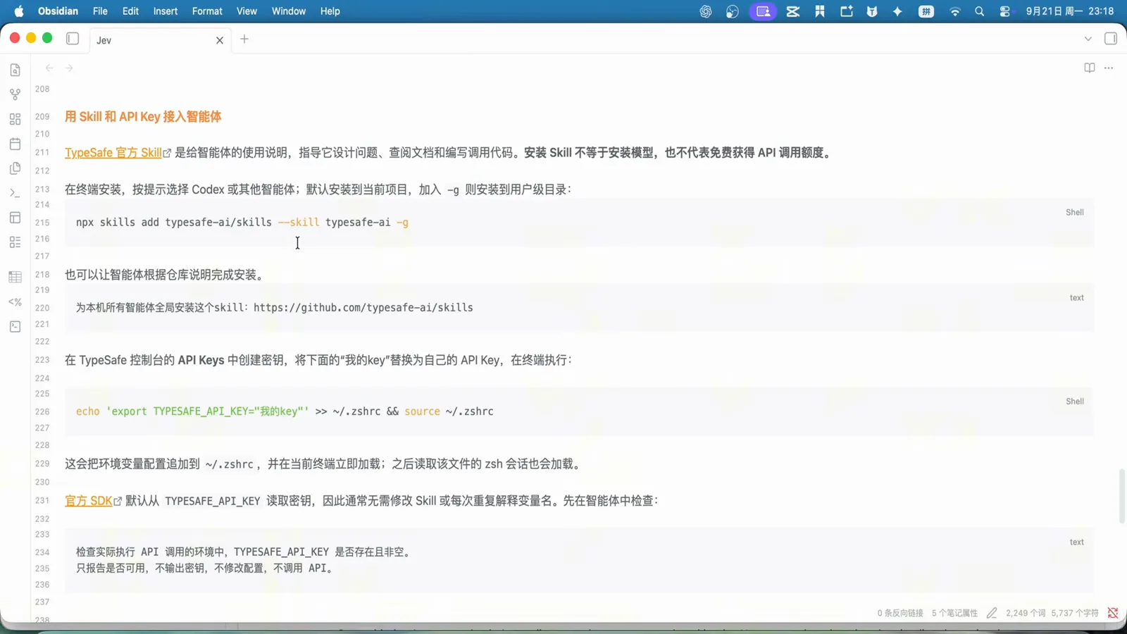 TypeSafe skill documentation showing the npx skills add typesafe-ai/skills install command and the echo export TYPESAFE_API_KEY line being appended to the zsh profile TypeSafe skill documentation showing the npx skills add typesafe-ai/skills install command and the echo export TYPESAFE_API_KEY line being appended to the zsh profile