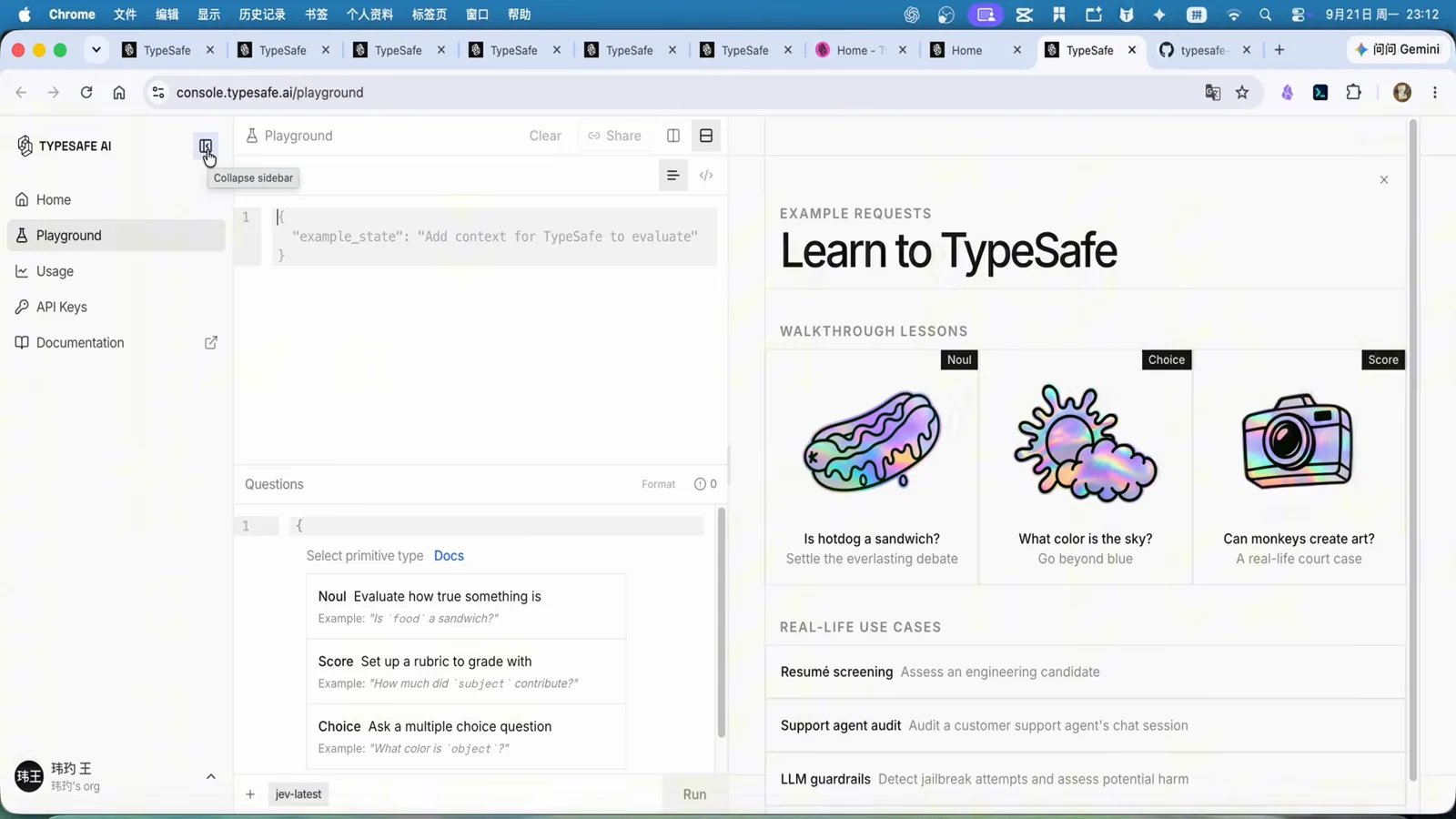 TypeSafe API console home with the left navigation showing Home, Playground, Usage, API Keys and Documentation plus the Learn to TypeSafe lesson cards and a Quickstart agent setup panel TypeSafe API console home with the left navigation showing Home, Playground, Usage, API Keys and Documentation plus the Learn to TypeSafe lesson cards and a Quickstart agent setup panel