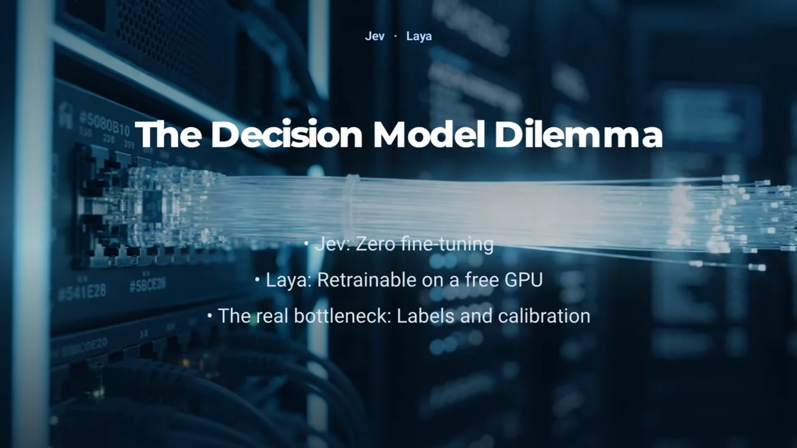 TerraNet slide titled The Decision Model Dilemma listing Jev with zero fine-tuning, Laya retrainable on a free GPU, and labels plus calibration as the real bottleneck.
